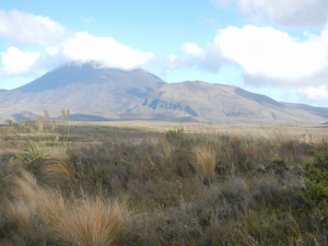 05012014_NZ_EnRoutePourTongariro_06 (1024x768)